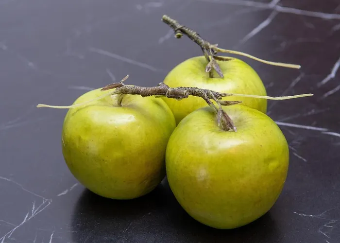 Urban 35 Διαμέρισμα